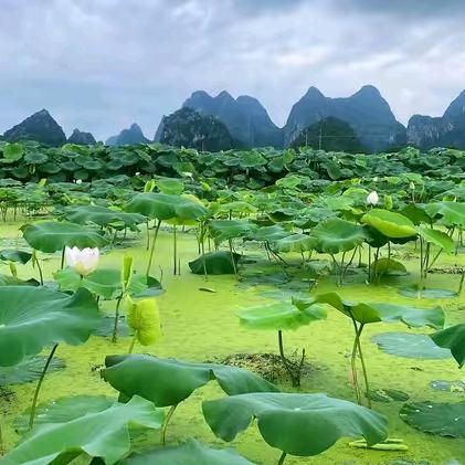 不要问我是那里的我是你心里的