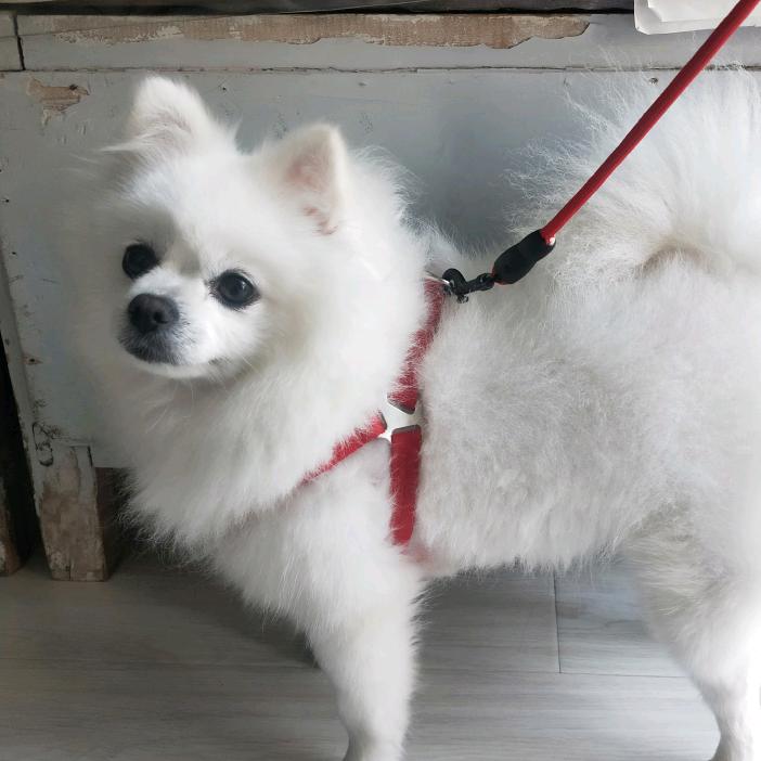 方老大