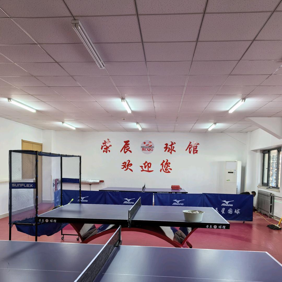 荣辰乒乓