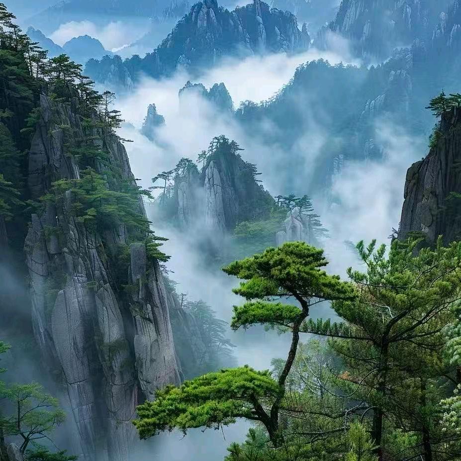 畅霖国际旅行