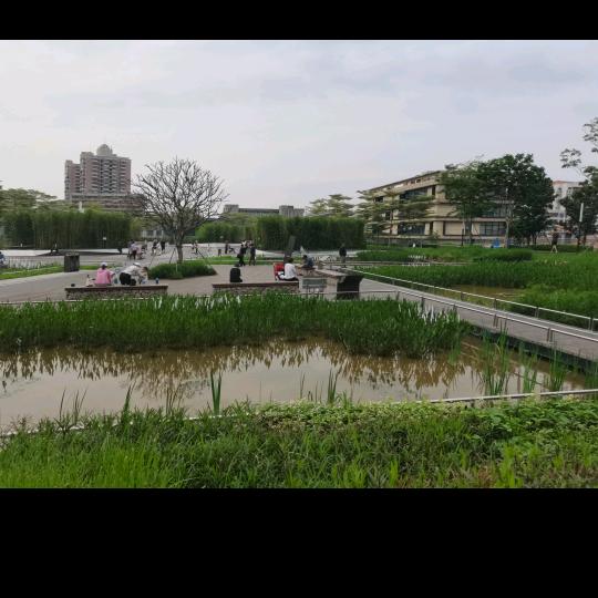 李龙，帅陕西