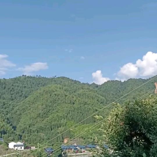 依然✨️🌾