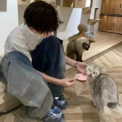 我的主角光环呢