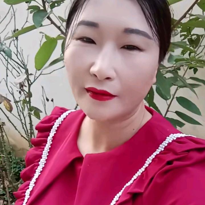 枫叶红🍁枫叶美