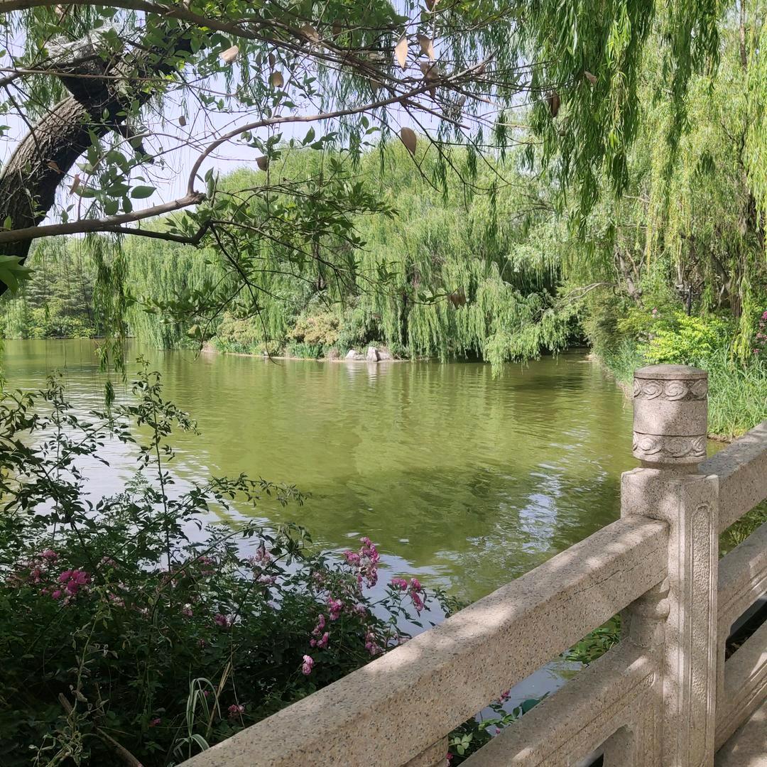 坚强女人