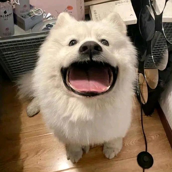 淮桎