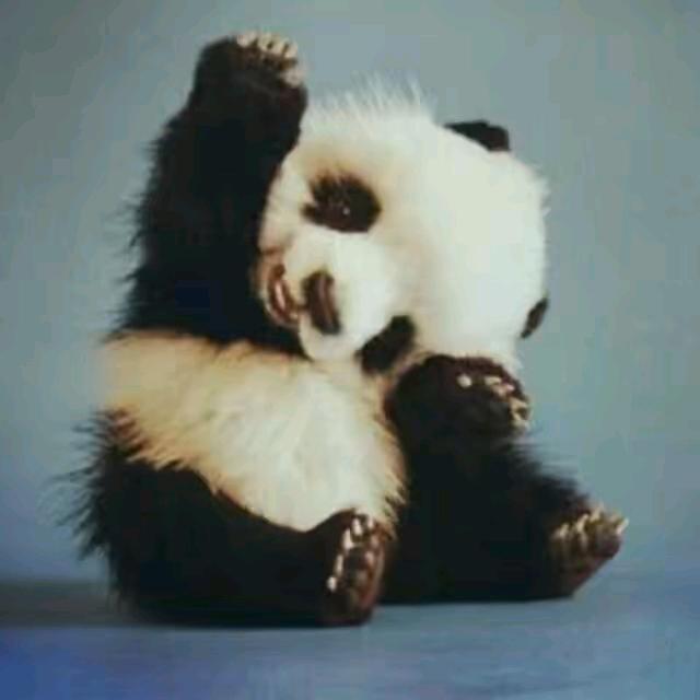 尽人事，听天命