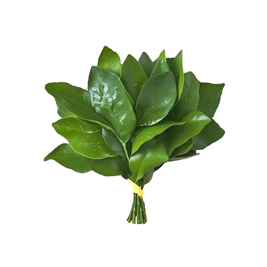 我与我