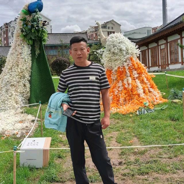 皖：赵赵…戚戚