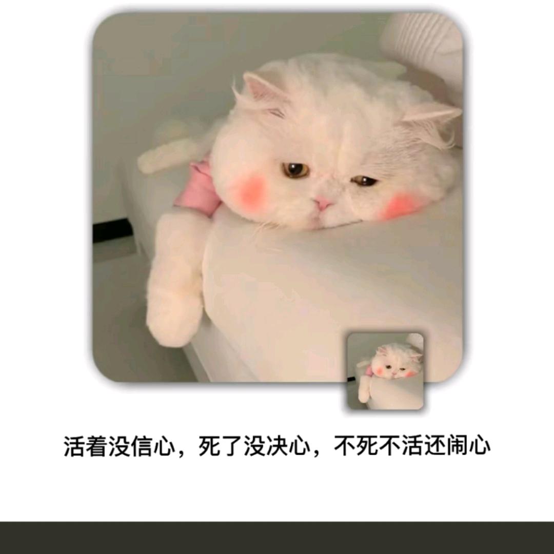 雪梨“陈”皮汤
