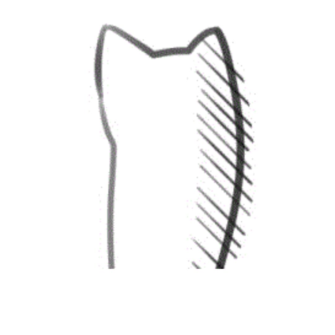 REGRET-FREE（减肥中）