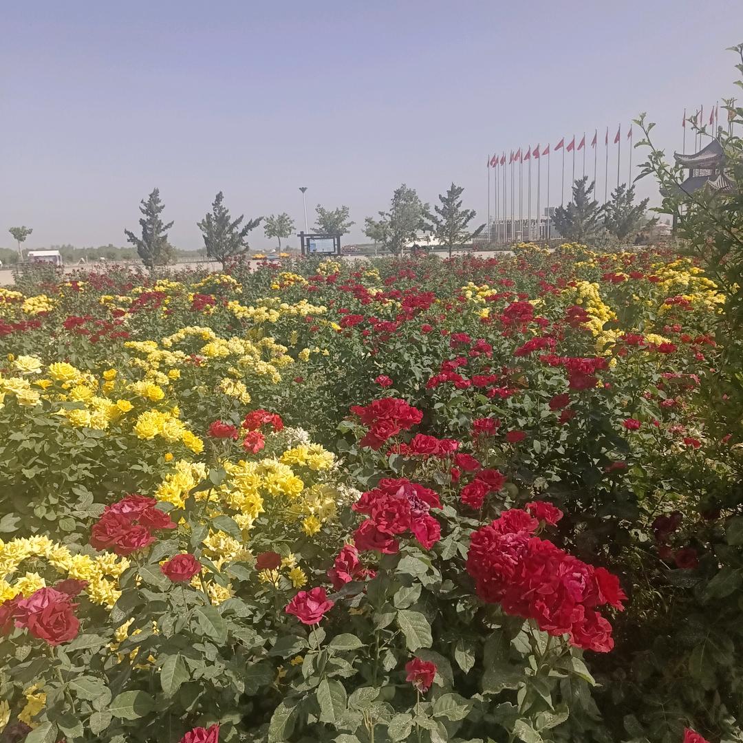 一帆风顺《117》