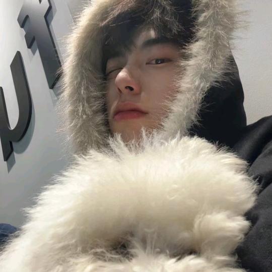 墨呈
