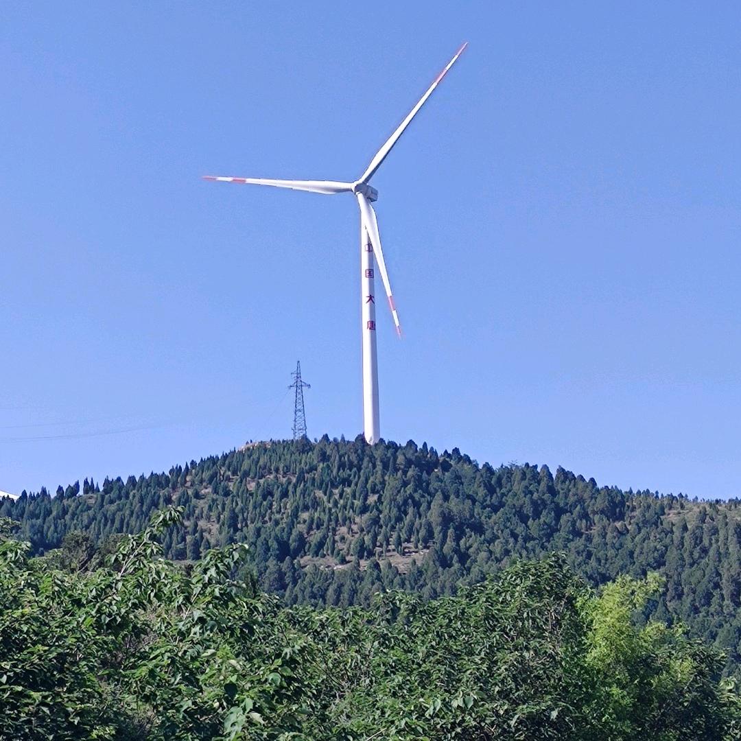 靠山王，杨老板