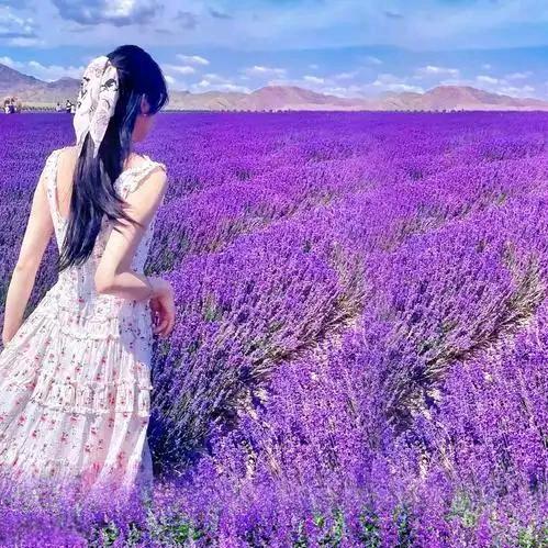 🦋罗马尼亚²⁹¹³✨