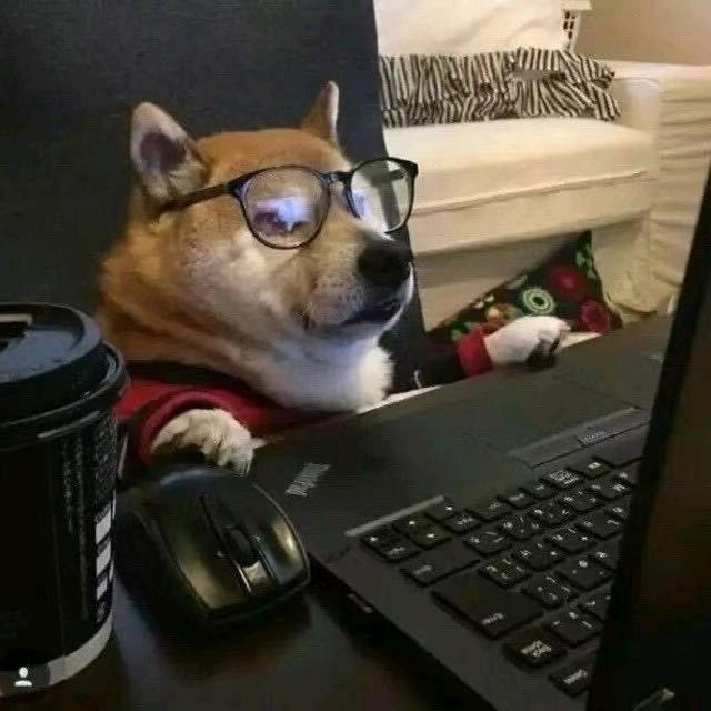 狗酱