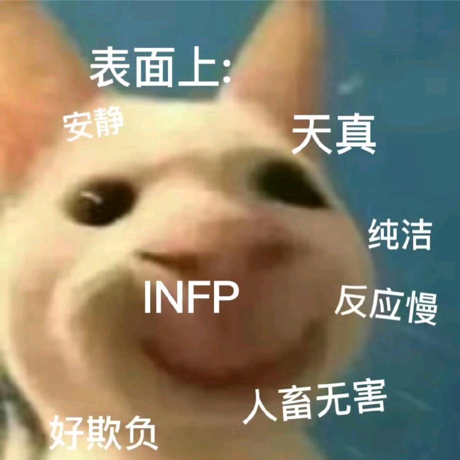 就坑你就坑你