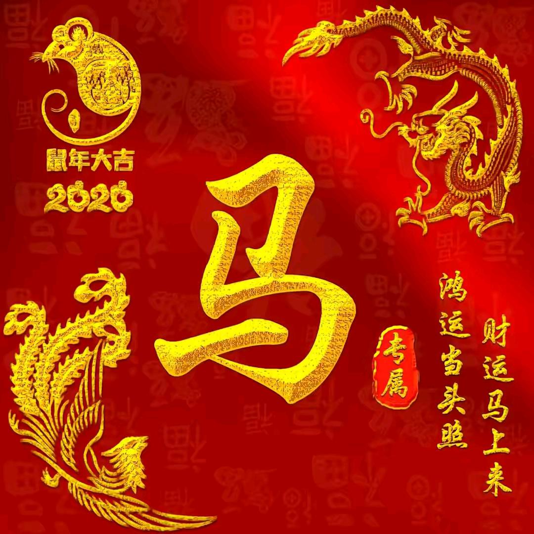 马老弟