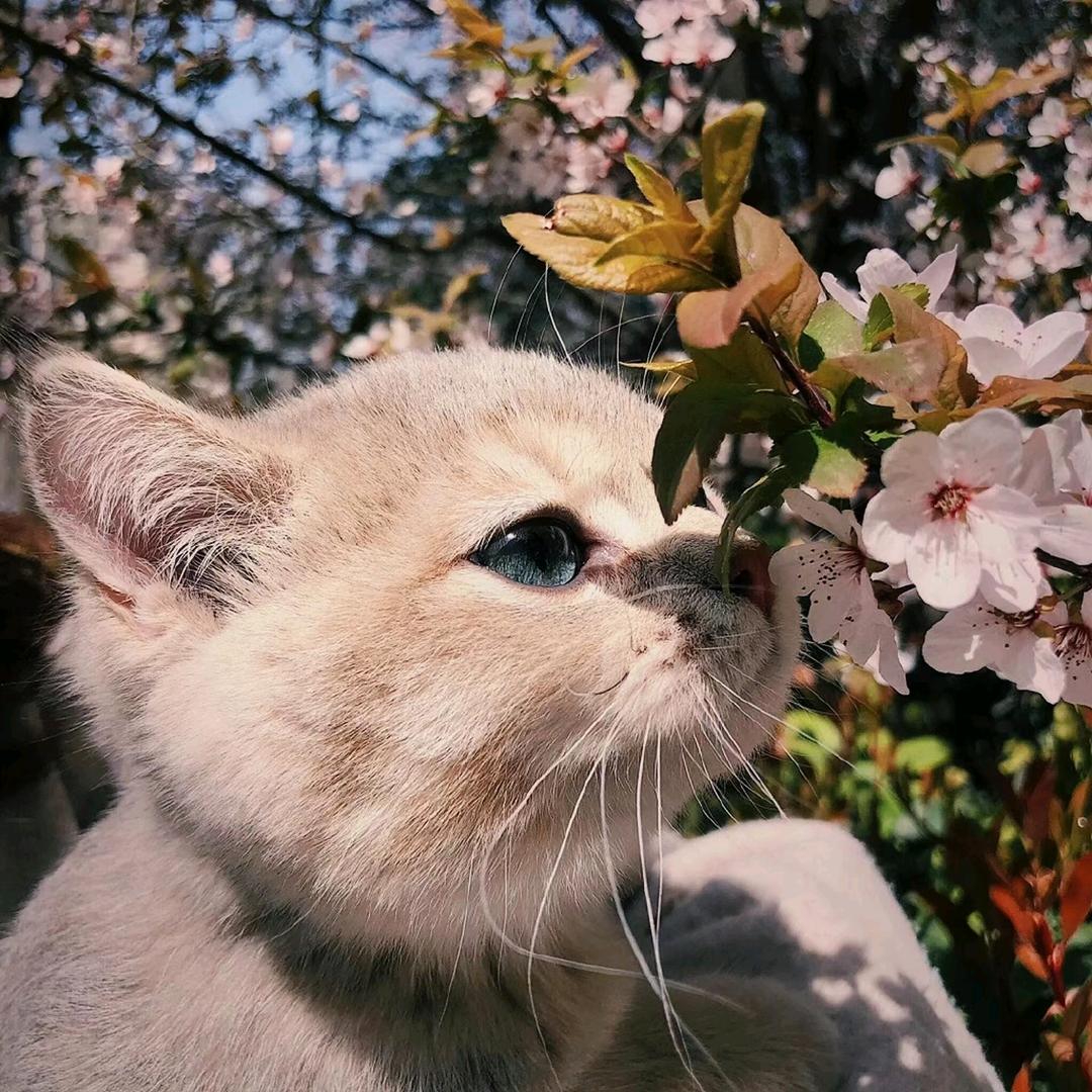 树下风暖