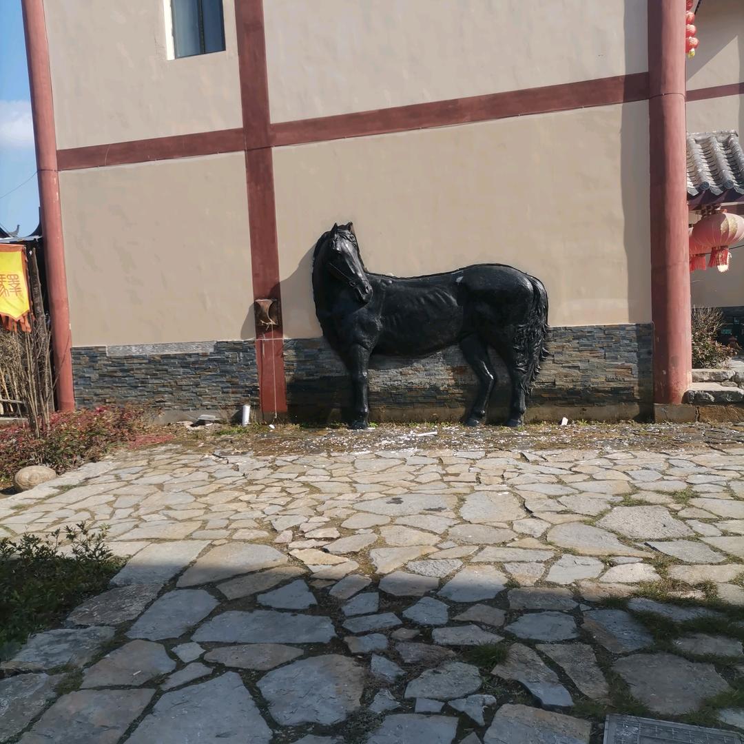 好友来相见