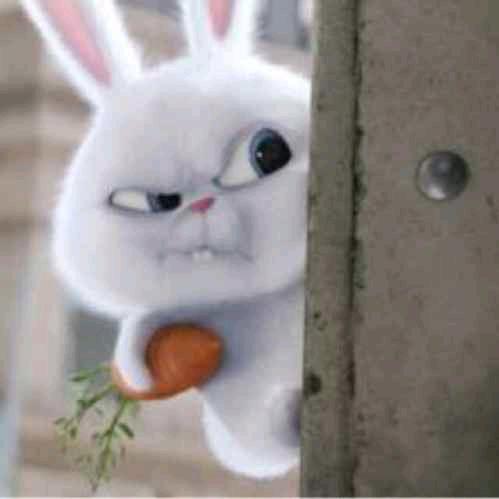 兔子丢了ツ重来