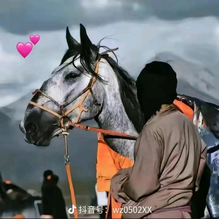 浪迹天涯只为你