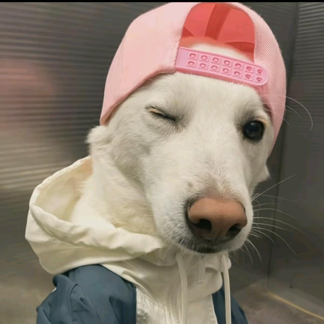 ㅤㅤㅤㅤㅤㅤㅤㅤㅤㅤㅤㅤㅤ      ㅤ