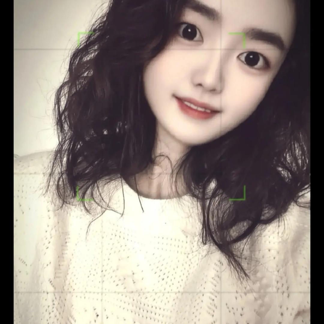 短腿猫