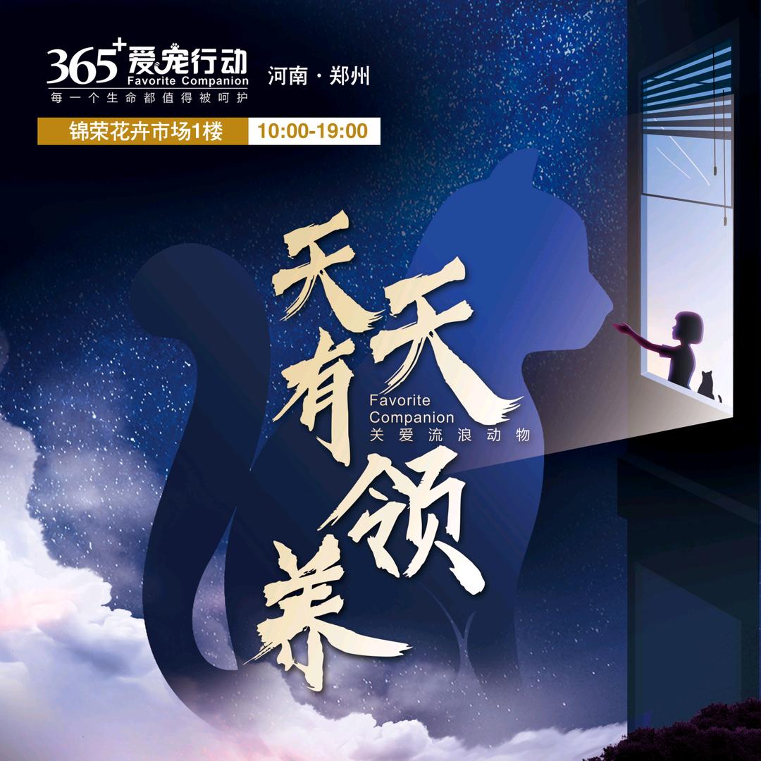 365+爱宠行动