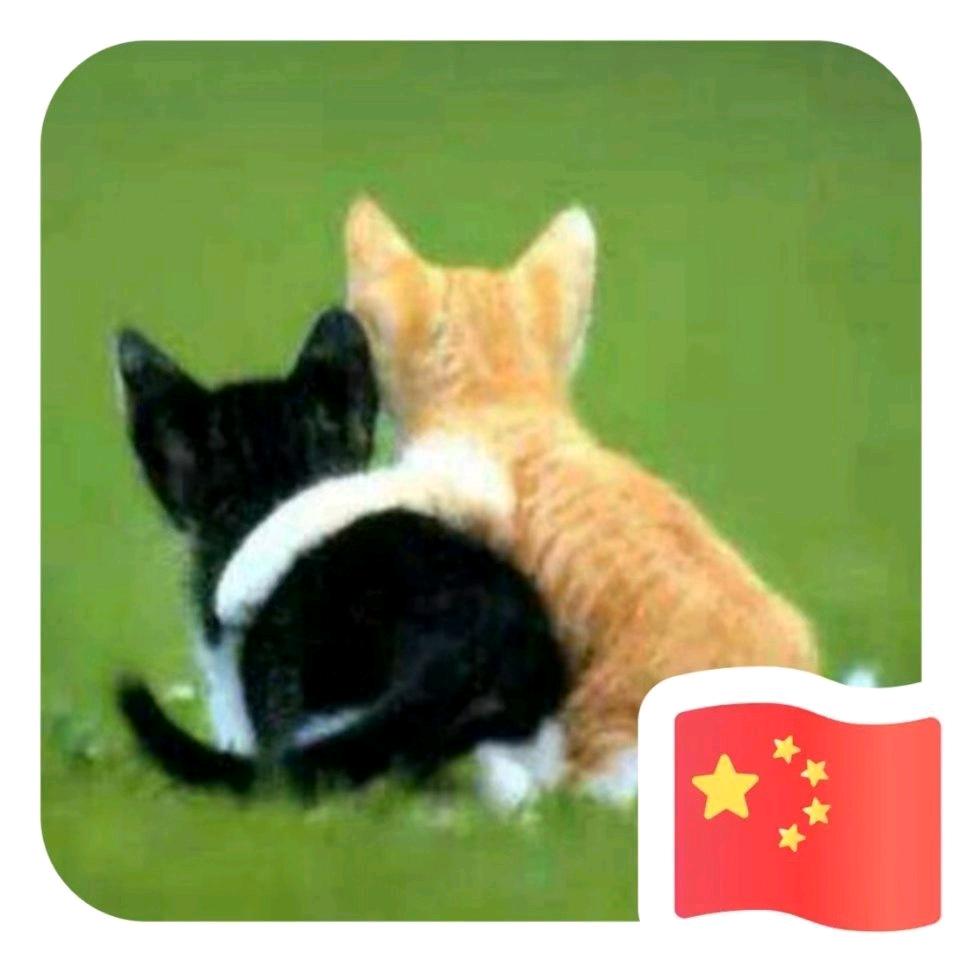 林妹妹