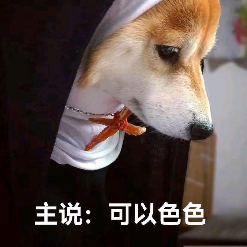 阿尔卑斯狗