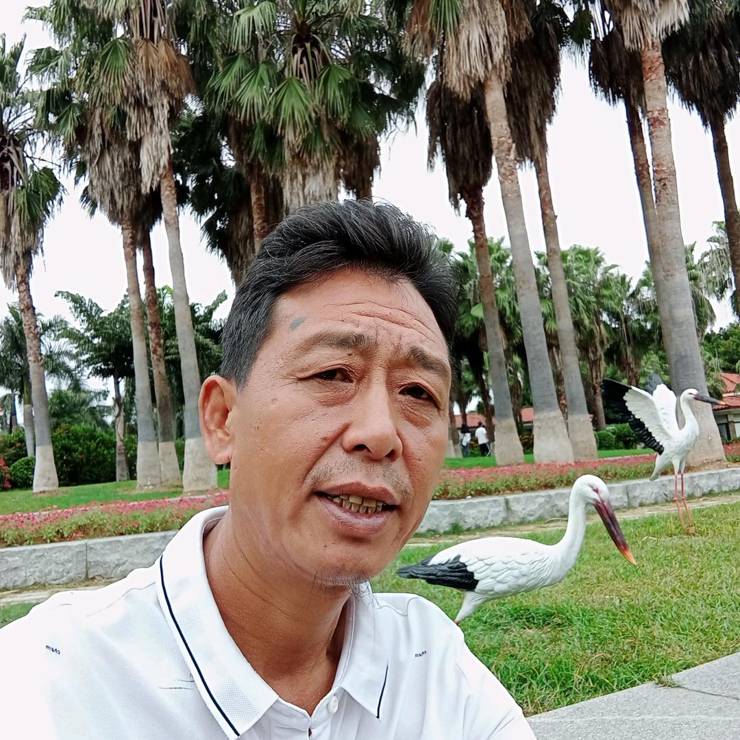 猛男哥晚上十点半开播了