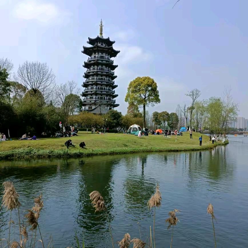 风吹草动H1