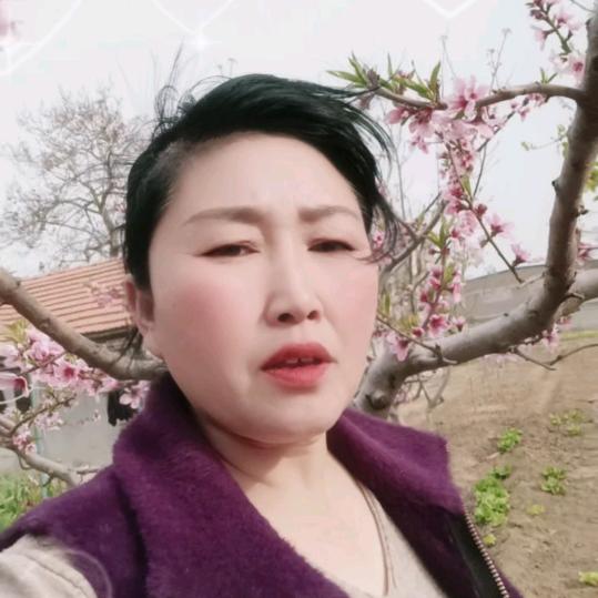 笑对人笙