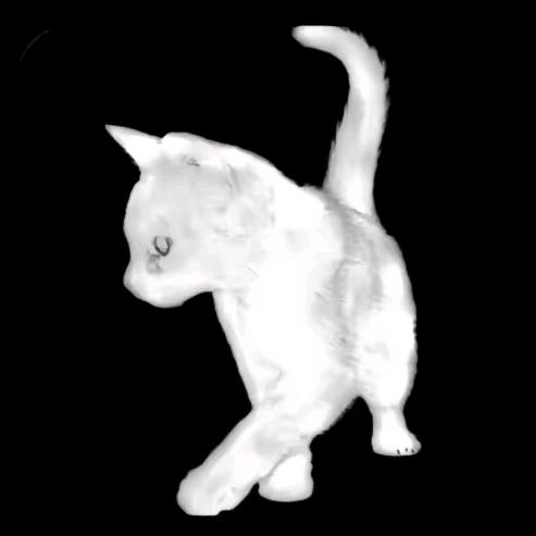 頔