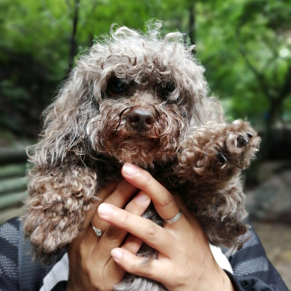 👍🏻丁丁👍🏻