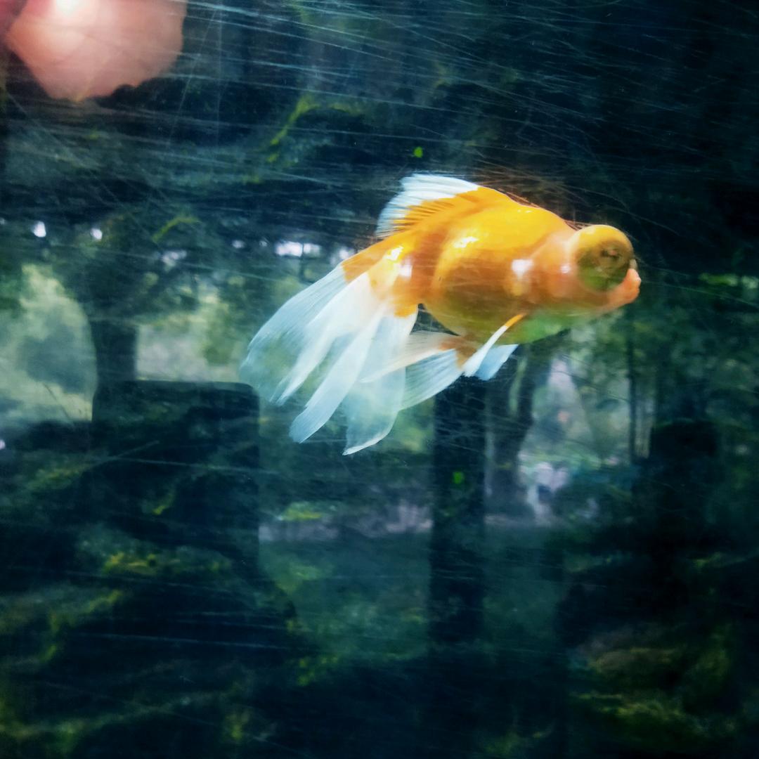 阳光明媚🌻
