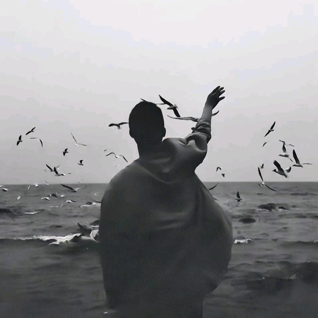 日星隐曜
