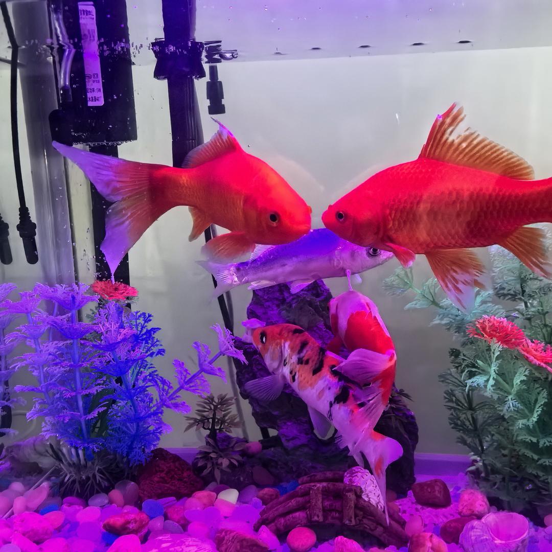 ࿑༄一路生花༄࿑