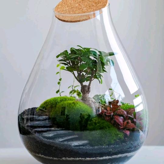 等待