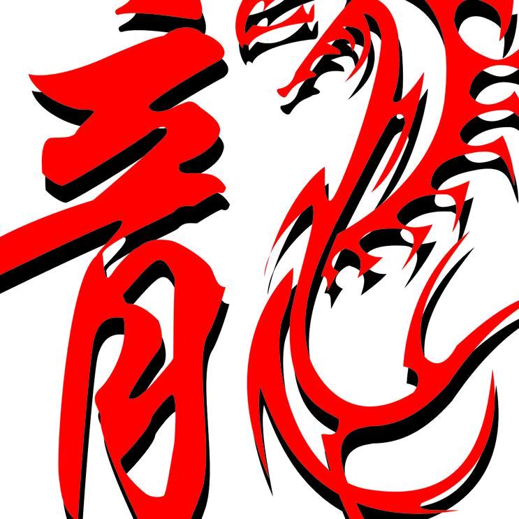 龙飞