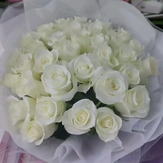有🌺🌺🌹🌹🌷🌷🌻🌻一个好