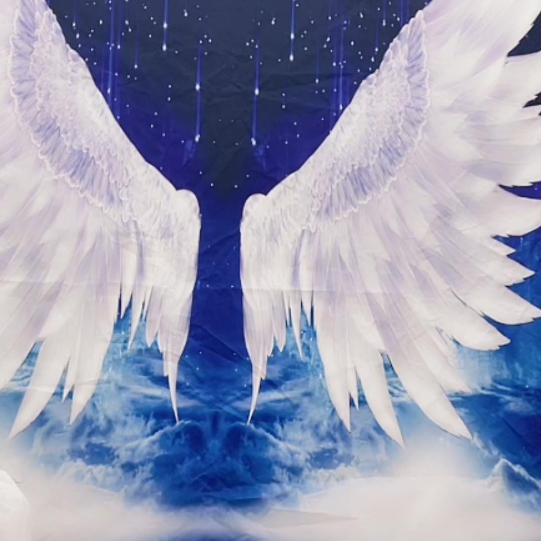 風雨飄搖一路同行