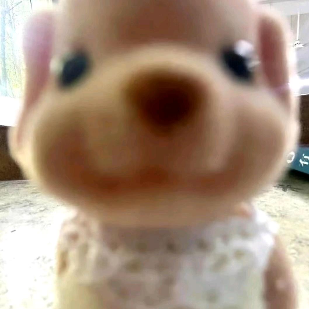 存愿