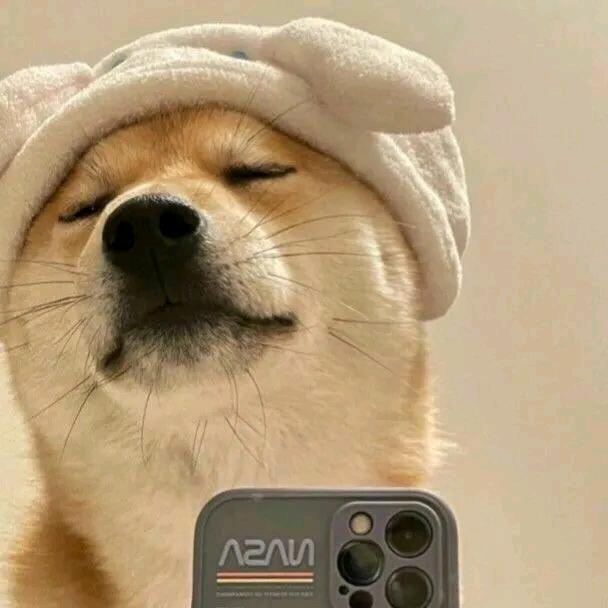 蛋