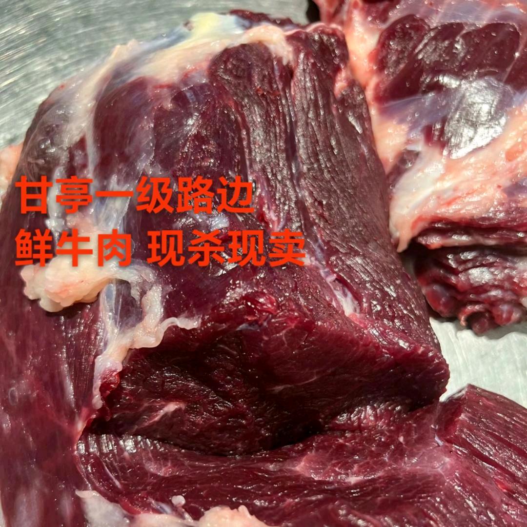 一头牛小号（甘亭店）