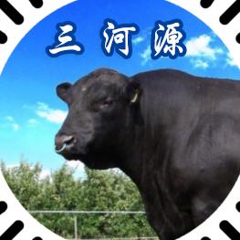 牛羊时代烤肉供应