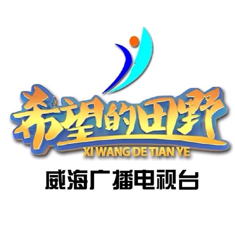 威海广电甄选