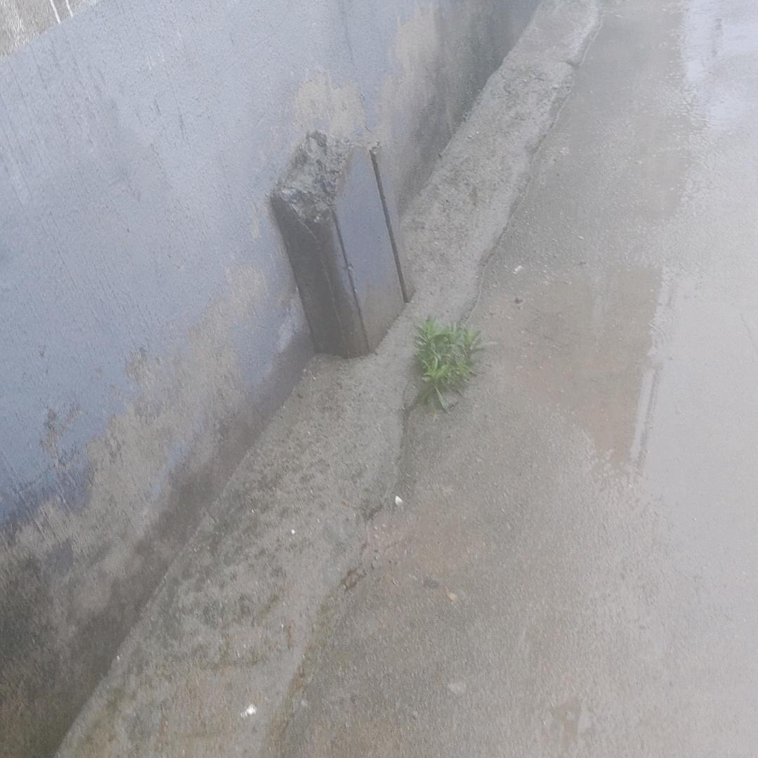 搭理这个号都是不正常人