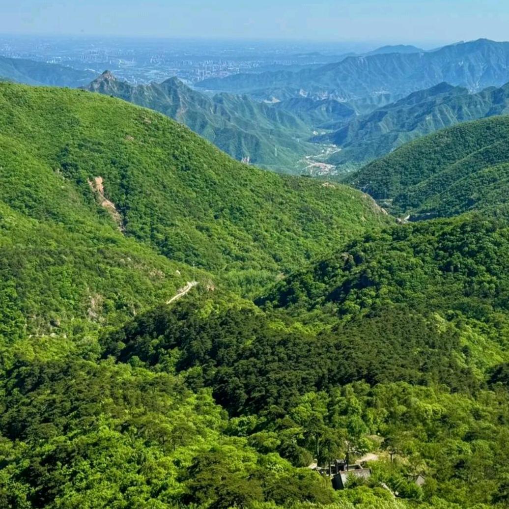 孟想成真~
